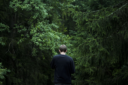 man facing forest thumbnail