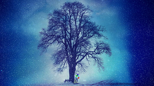 silhouette of tree during stray night thumbnail