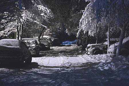 cars near body of water thumbnail