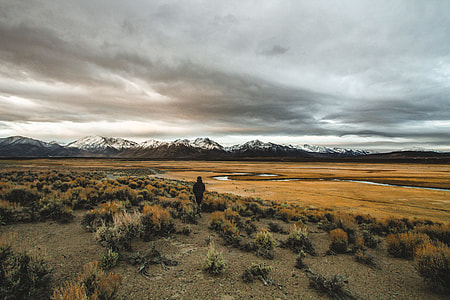 person walking alone near mountain thumbnail