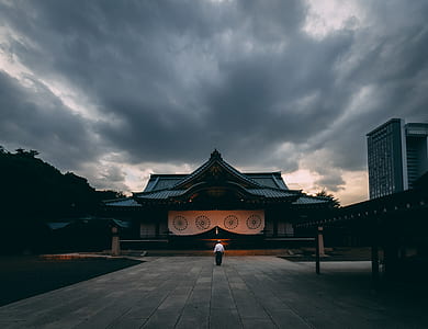 man stand near temple under gray sky thumbnail