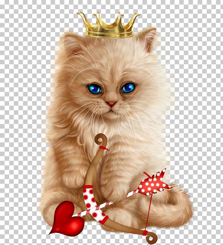 Kitten Manx Cat Chartreux Korat Bombay Cat Kitten Png Clipart