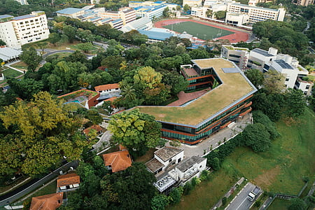 bird's eye photography of orange concrete building thumbnail