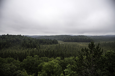 Hills and Forest landscape at Algonquin Provincial Park, Ontario thumbnail