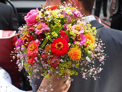 selective focus photo of person holding flowers bouquet thumbnail