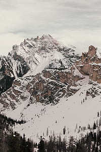 mountain beside forests covered with snow thumbnail