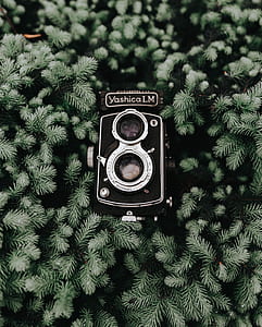 vintage black and silver land camera on green plastic plants thumbnail