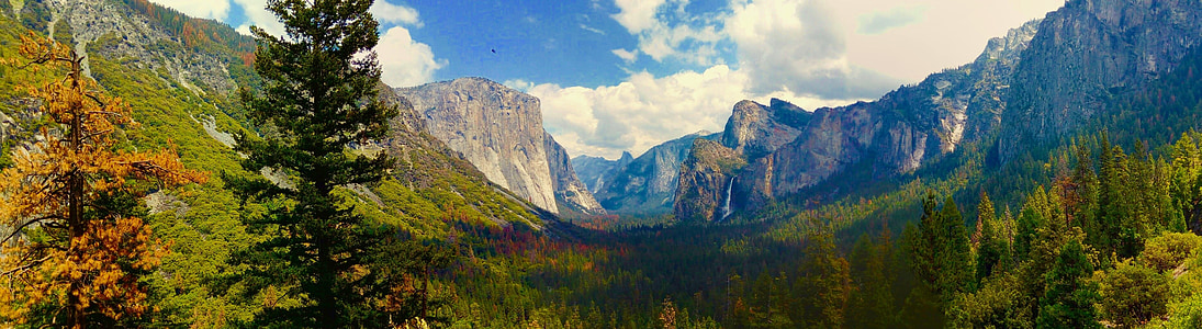 scenery of trees and mountain thumbnail