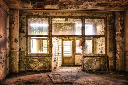 beige and white floral painted wall house interior thumbnail