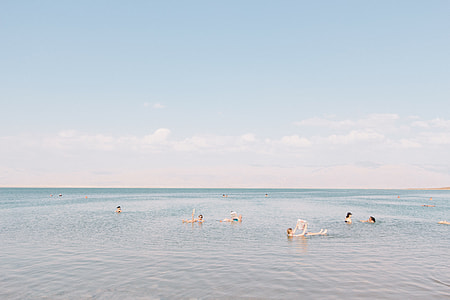 group of people swimming on dead sea during daytime thumbnail