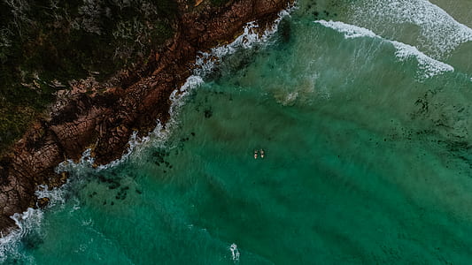 body of water near green trees thumbnail