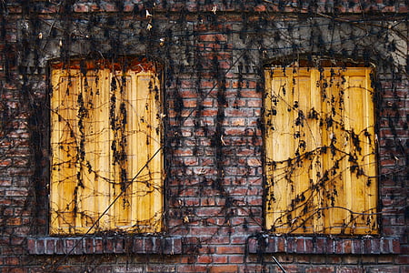 dried vines on closed window doors thumbnail