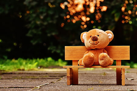 brown bear plush on the bench thumbnail
