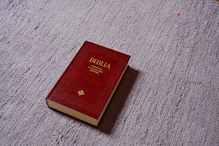 bible on gray surface thumbnail