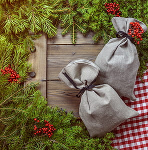 Two Gray Bags Surrounded by Green Leaves thumbnail