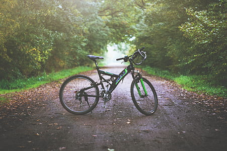 black and green full-suspension bike at road surrounded by trees thumbnail