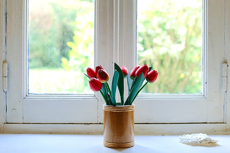 eight red tulip flowers in brown vase thumbnail