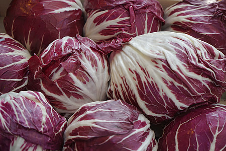white-and-purple cabbages thumbnail