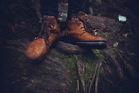 person in brown leather shoes on root tree thumbnail