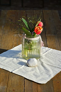 red tulip in clear glass vase thumbnail