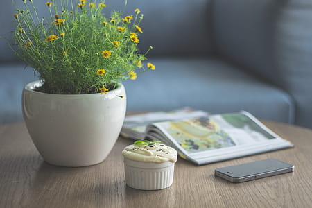 iPhone on center table beside book thumbnail