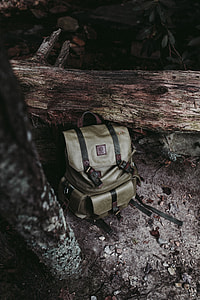 gray backpack next to log thumbnail