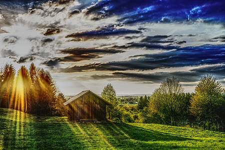 sunlight over green grass field with barn thumbnail