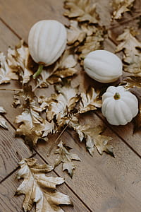 White pumpkins with golden oak leaves thumbnail