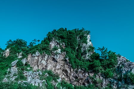 rocky mountain surrounded with trees during daytime thumbnail