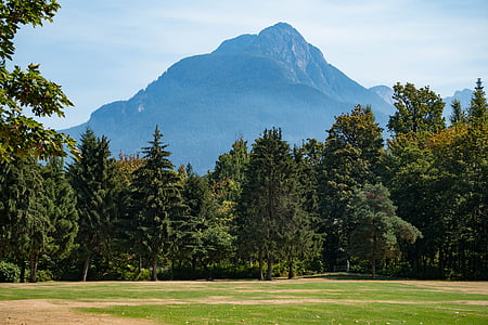 green trees near mountain under blue sky thumbnail