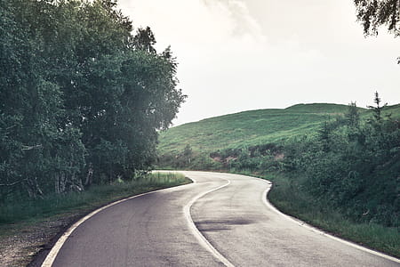 View Of Empty Road with trees around thumbnail