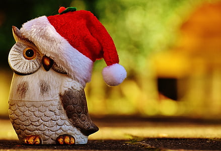 close-up photography of owl figurine thumbnail
