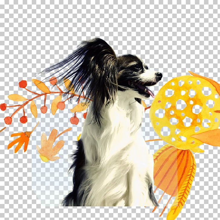 Puppy Cat Dog Toy Chew Toy Leash Cute Pet Dog Png Clipart Free