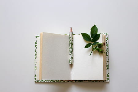 green leaves on open book page thumbnail