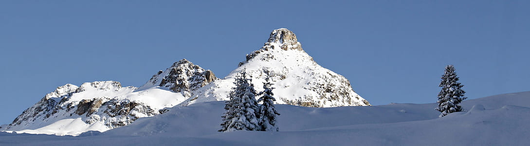 alps surrounded by pine trees thumbnail