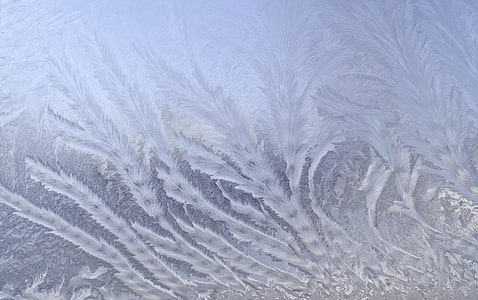 frosted ice close-up photography thumbnail