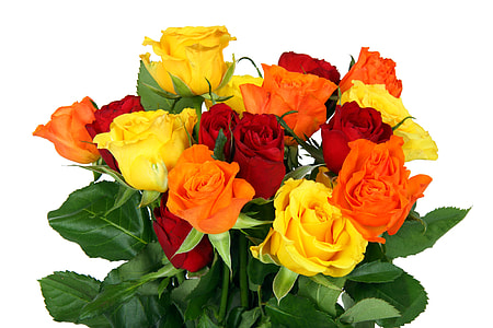 red, orange, and yellow roses thumbnail