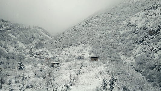 mountain during forest thumbnail