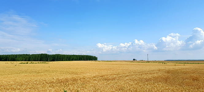lawn field during daytime thumbnail