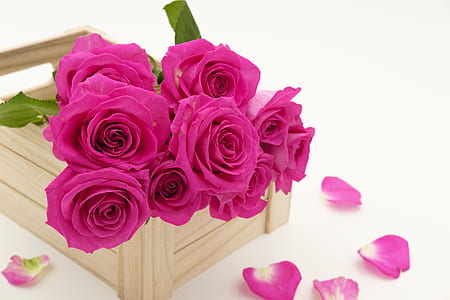 pink rose flowers on brown wooden organizer thumbnail