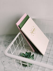Close Up Photograph of White Rack With Books and Succulent Plant thumbnail
