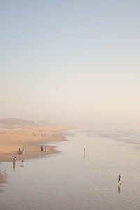 group of people standing on seashore thumbnail