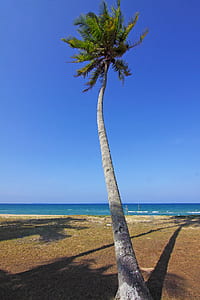sea, landscape, nature, sky thumbnail