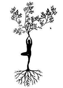 Illustration of yoga and organic forms - tree and roots, strength with rooted yoga pose thumbnail