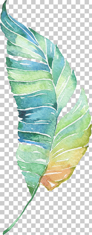 Water painted green leaves, green and brown leaf PNG clipart