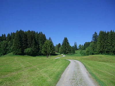 grass field under clear sky thumbnail