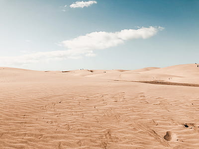 photo of desert field thumbnail