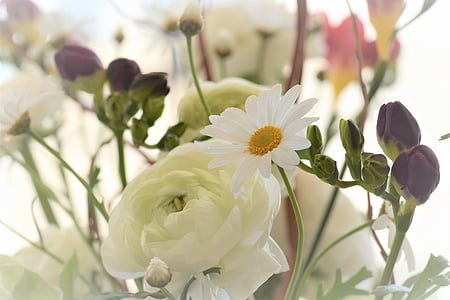 white and purple flowers photography thumbnail
