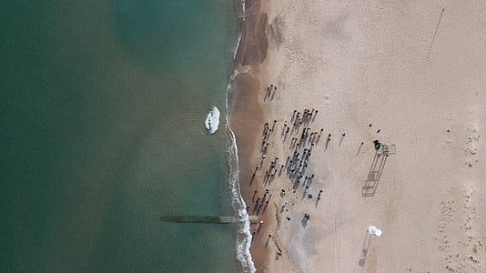 aerial view of people near seashore thumbnail