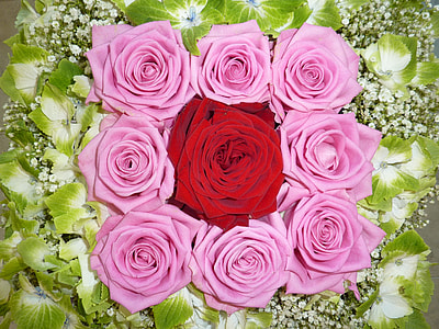 pink and red roses thumbnail